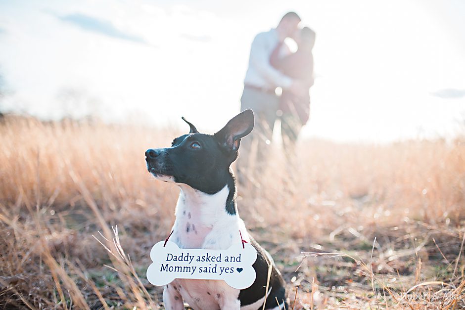 waveny park engagement nicole gareth hk photography spring engagement shoot