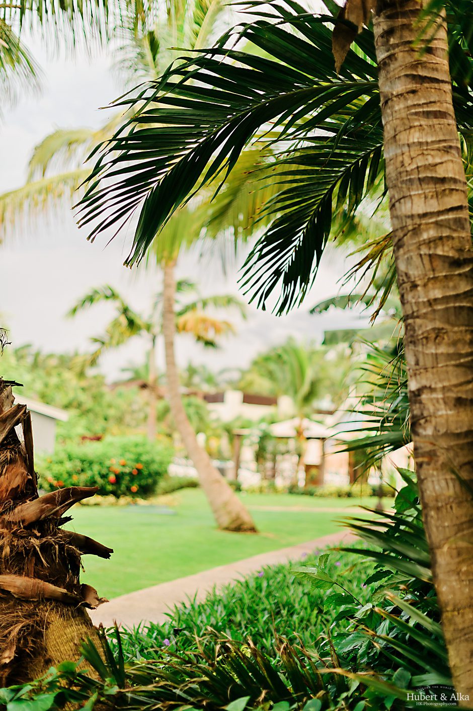 Day After Shoot At Turks & Caicos Islands