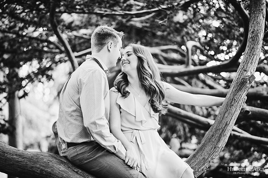 elizabeth rose park engagement session in west hartford _ ct wedding photographer