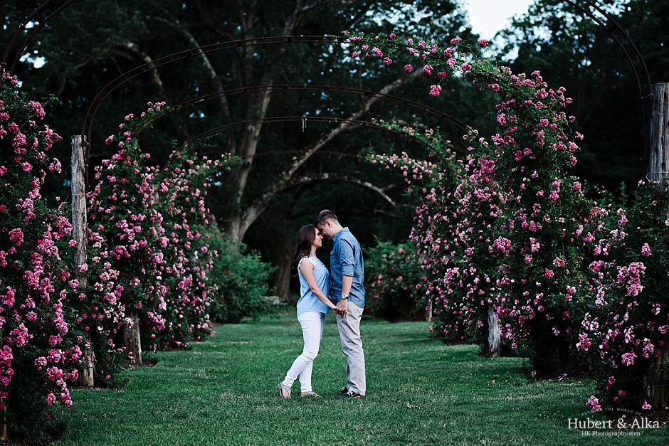 elizabeth rose park engagement session in west hartford _ ct wedding photographer
