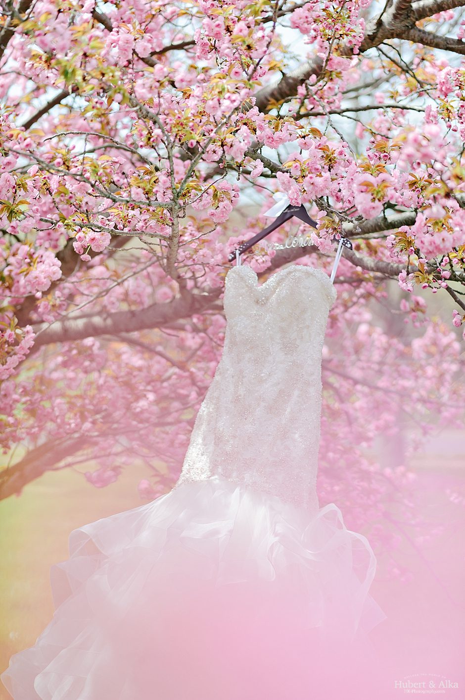 A Society Room Wedding Photography with Hartford City Hall Portraits