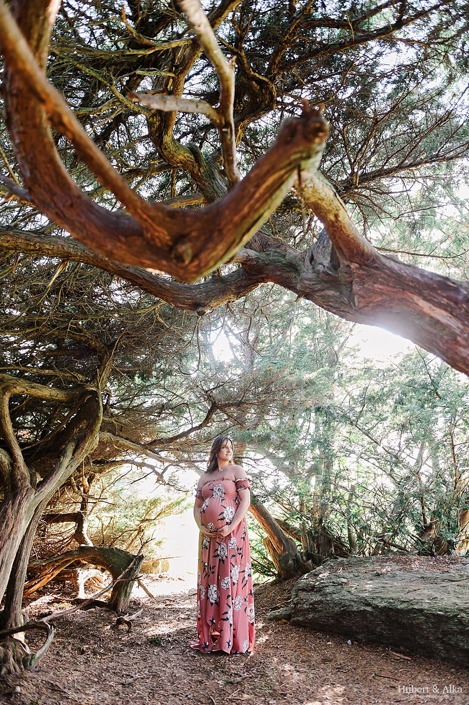 Maternity Family Photo Session in Connecticut | Maternity Photographer