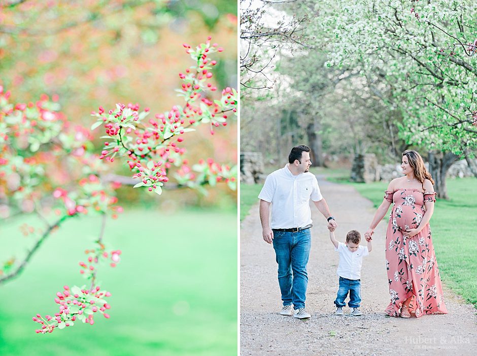 Maternity Family Photo Session in Connecticut | Maternity Photographer