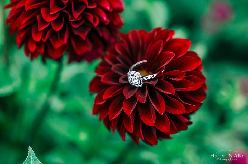 Harkness State Park Engagement Photos – Waterford, Connecticut with Chelsea & Paul
