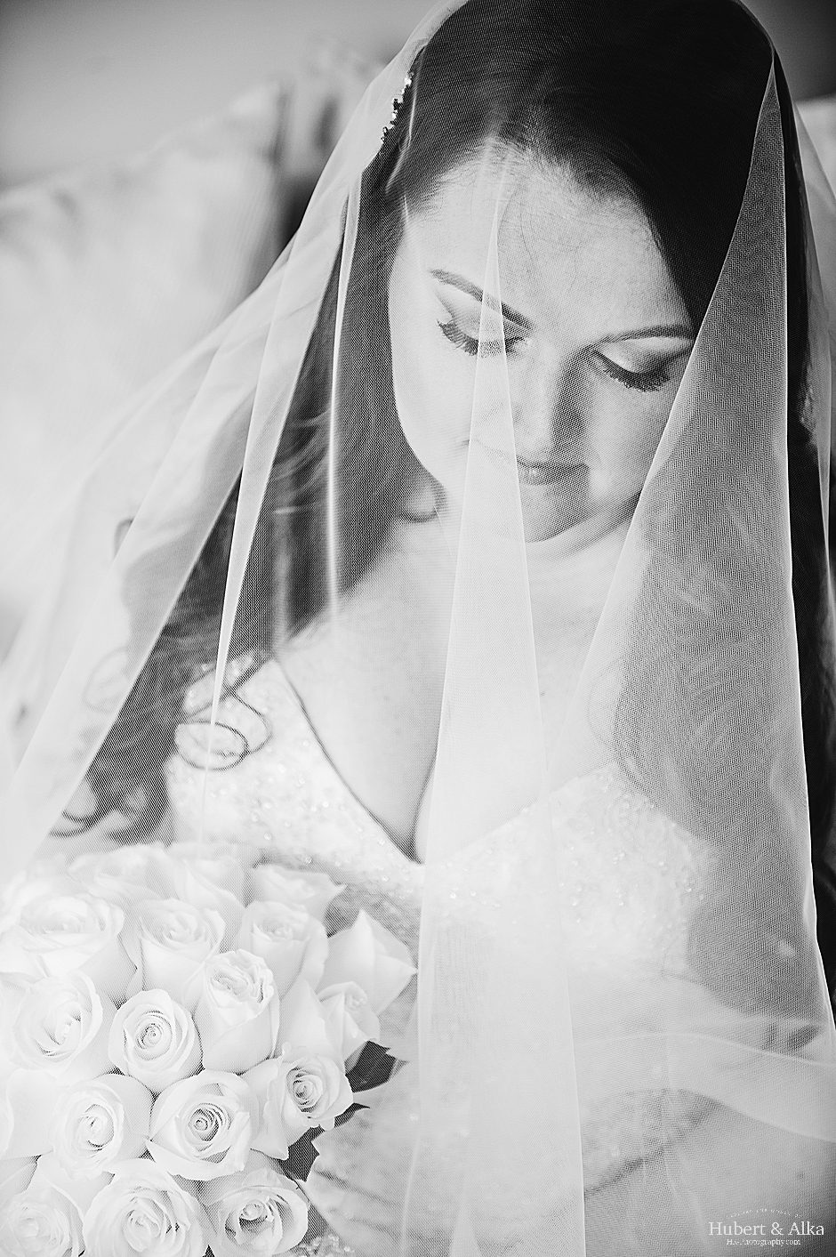 Aria Prospect CT Wedding Photos