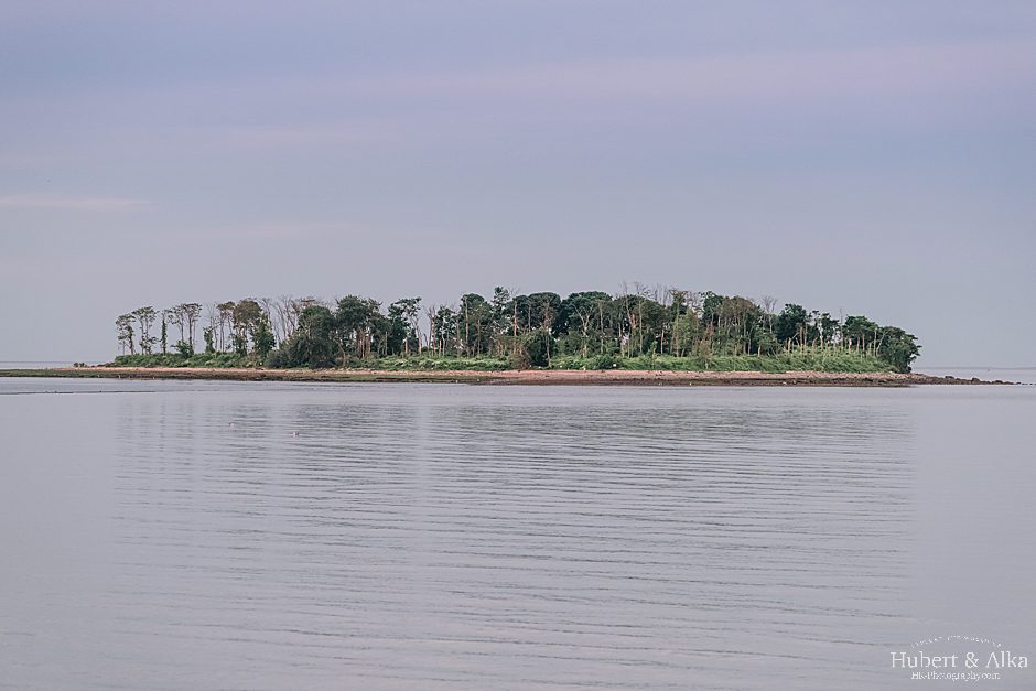 Silver Sands Park Engagement Session in Milford CT