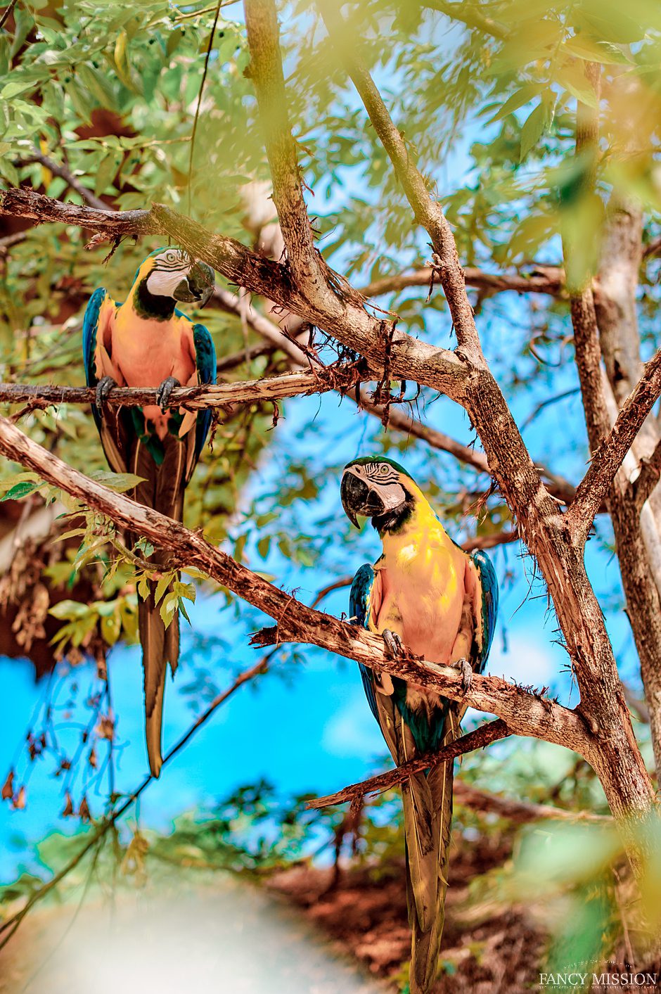 A fairytale summer vacation in Cartagena Colombia