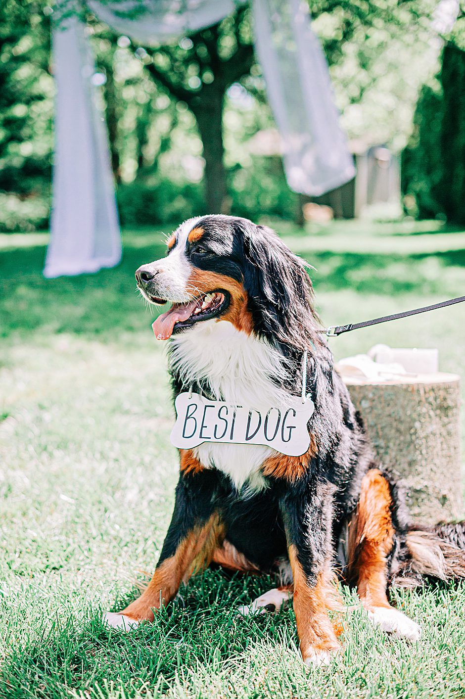 Connecticut Summer Wedding