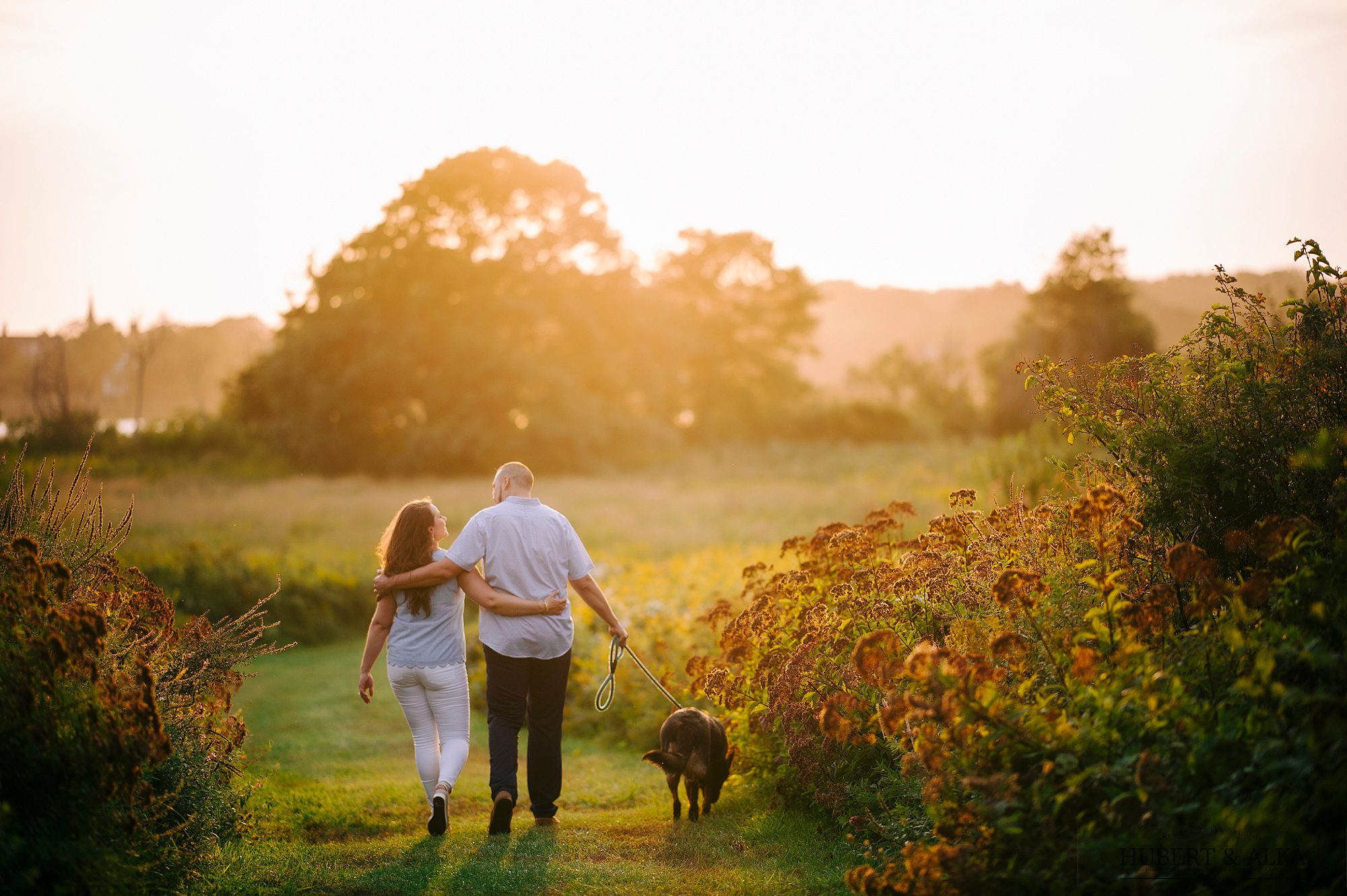 Photos Engagement at Harkness Park CT