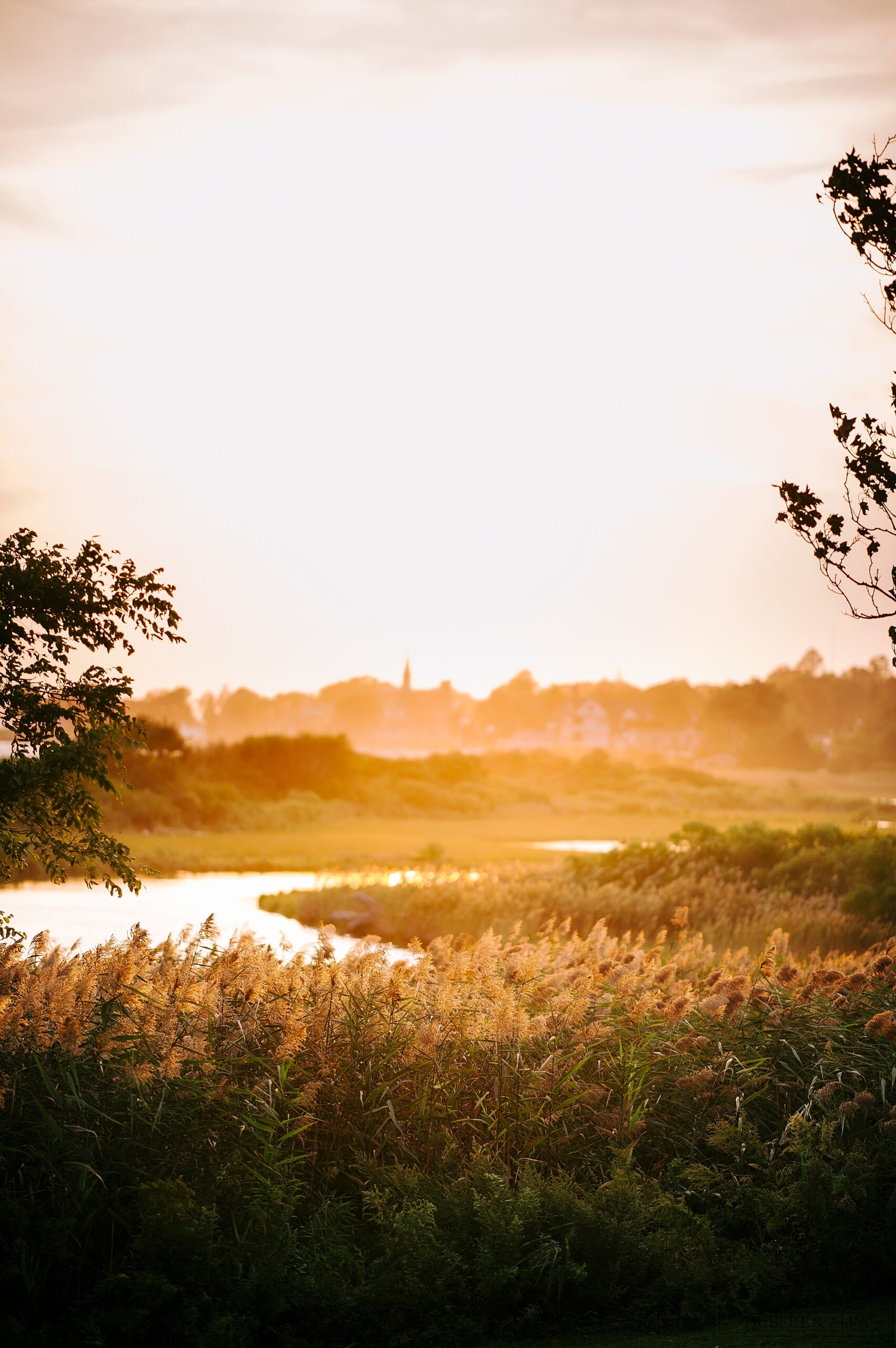 Photos Engagement at Harkness Park CT