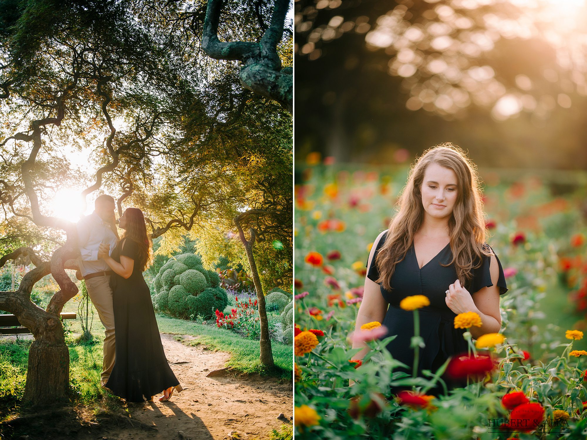 Photos Engagement at Harkness Park CT