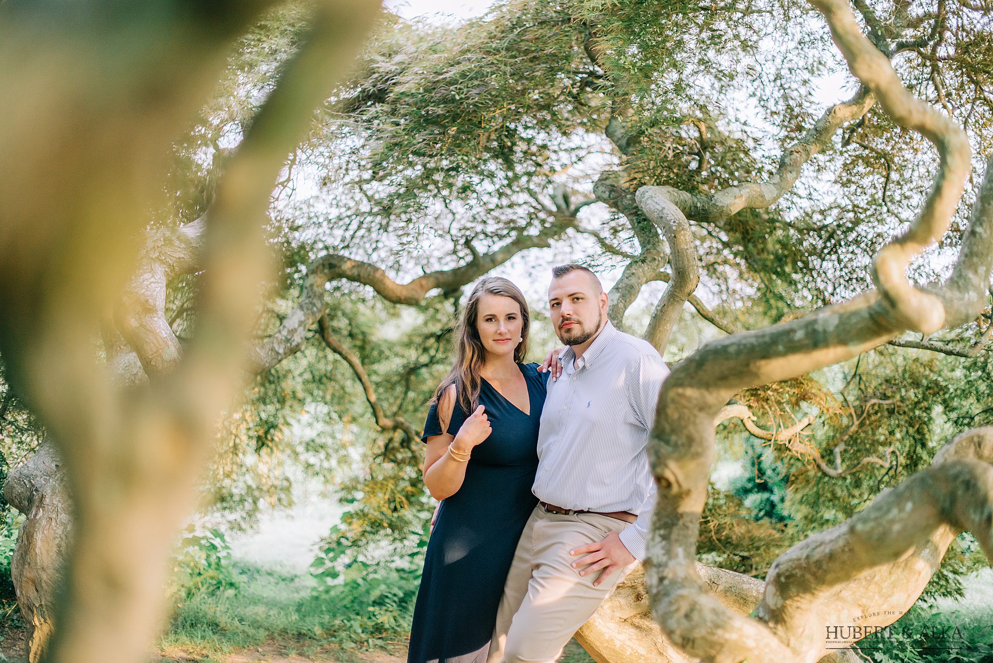 Photos Engagement at Harkness Park CT