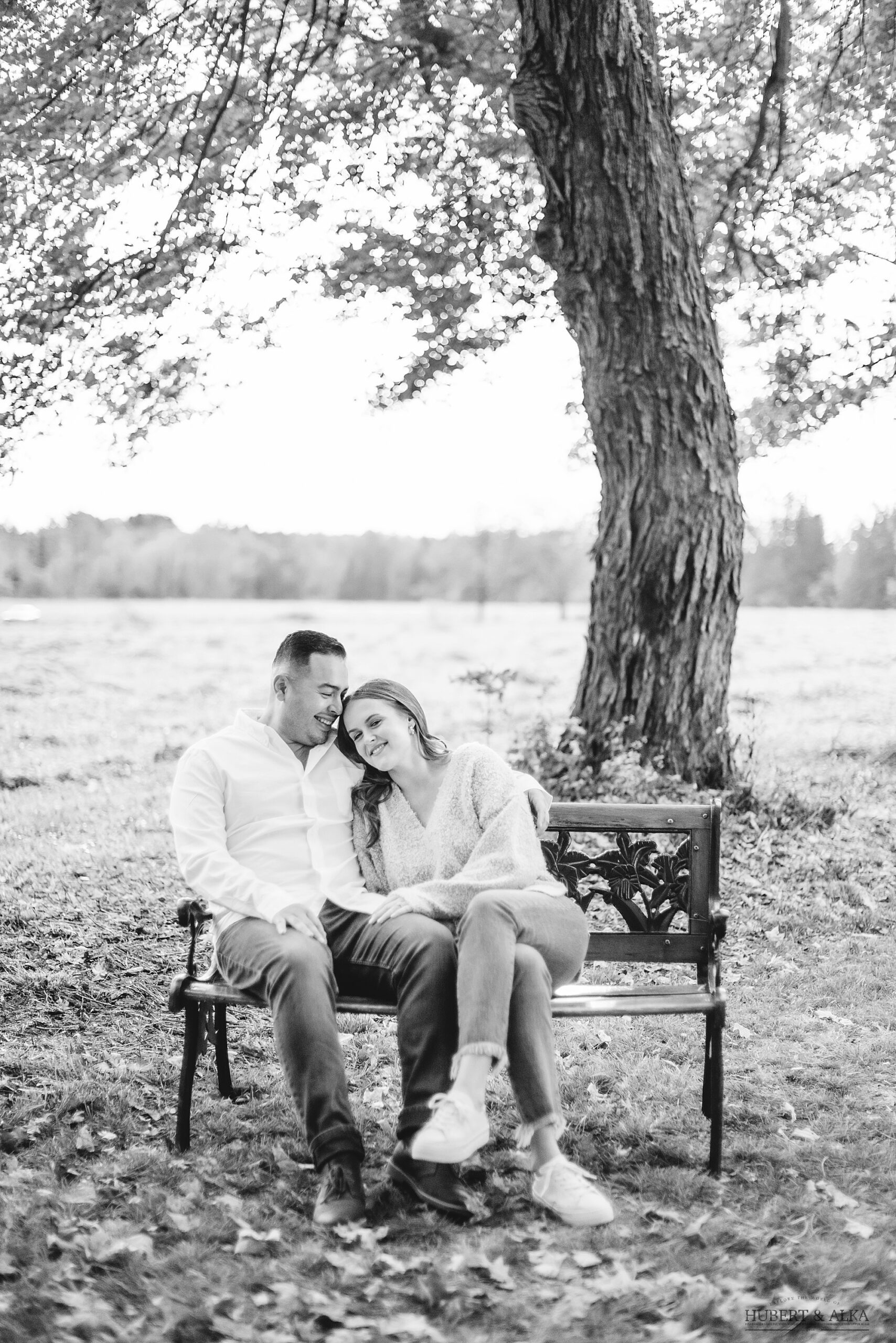 Fall Engagement Photos in Connecticut
