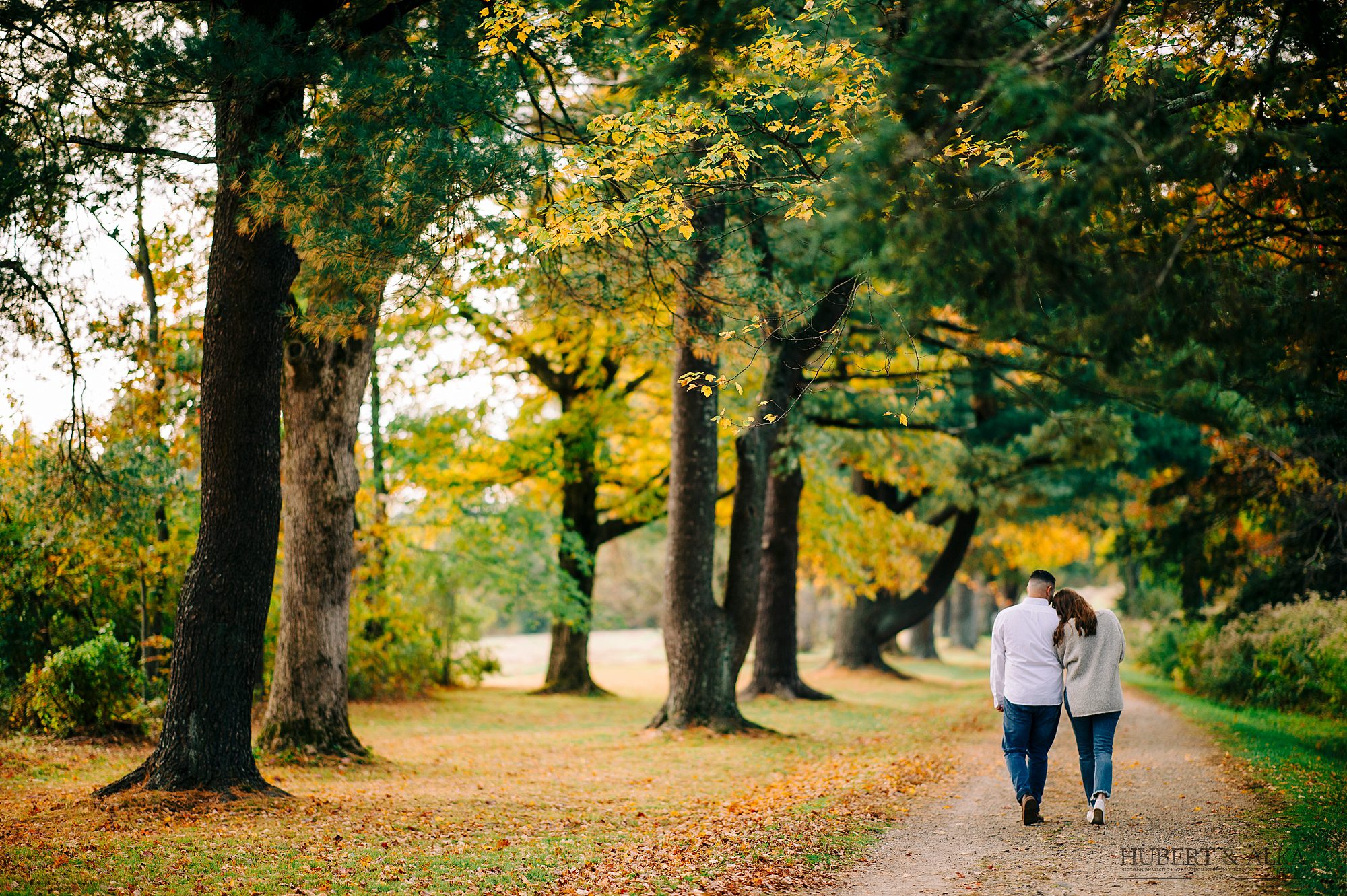 Fall Engagement Photos in Connecticut