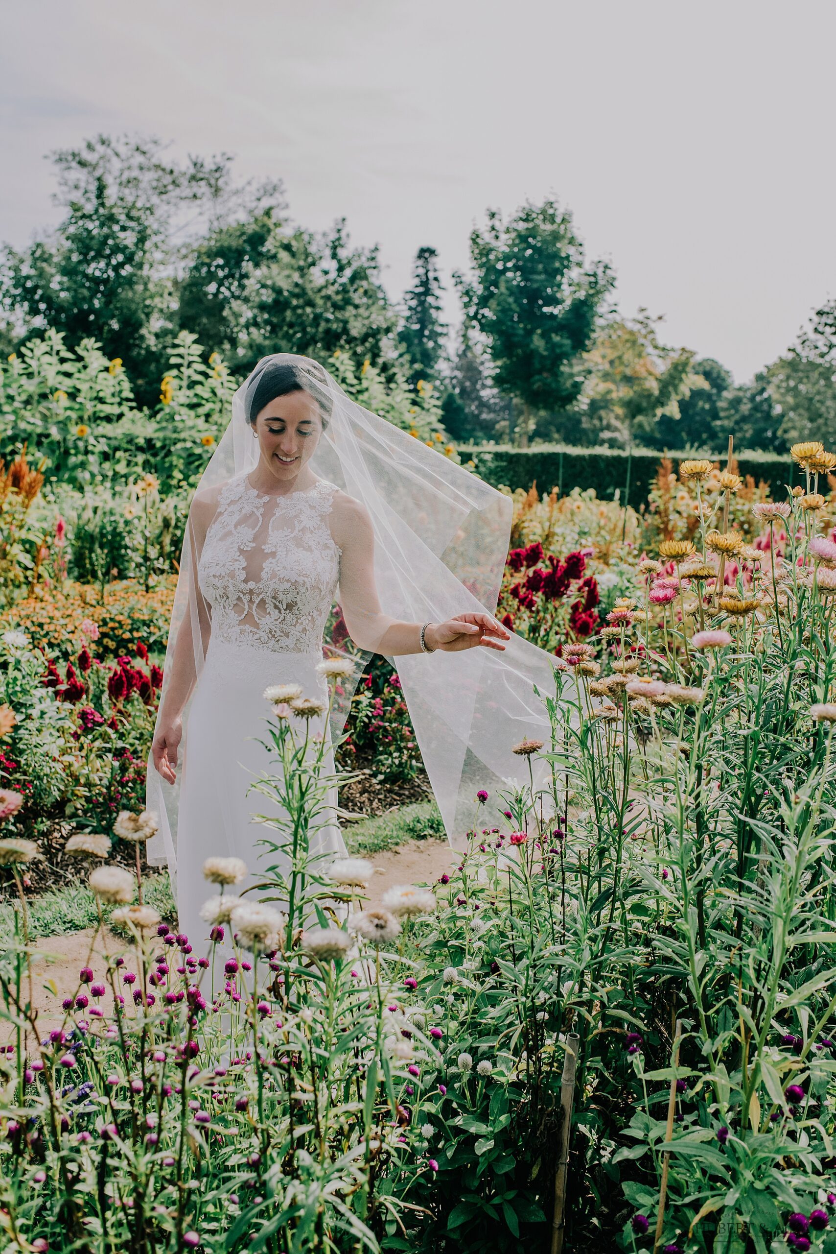 Wedding at Eolia Harkness CT